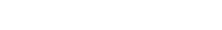 Nintendo DS